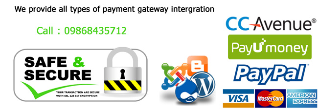 Online Payment Gateway